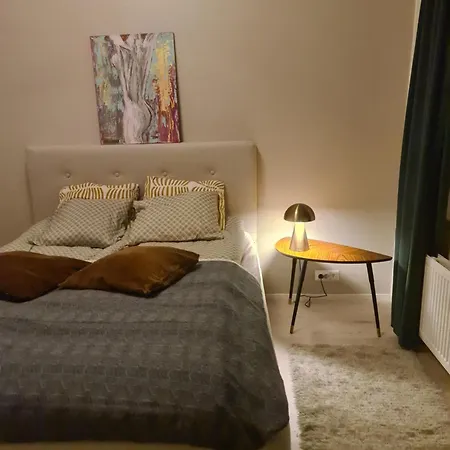 L'aurora Nest In The Apartment *