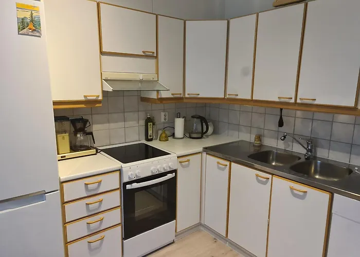 L'aurora Nest In The *